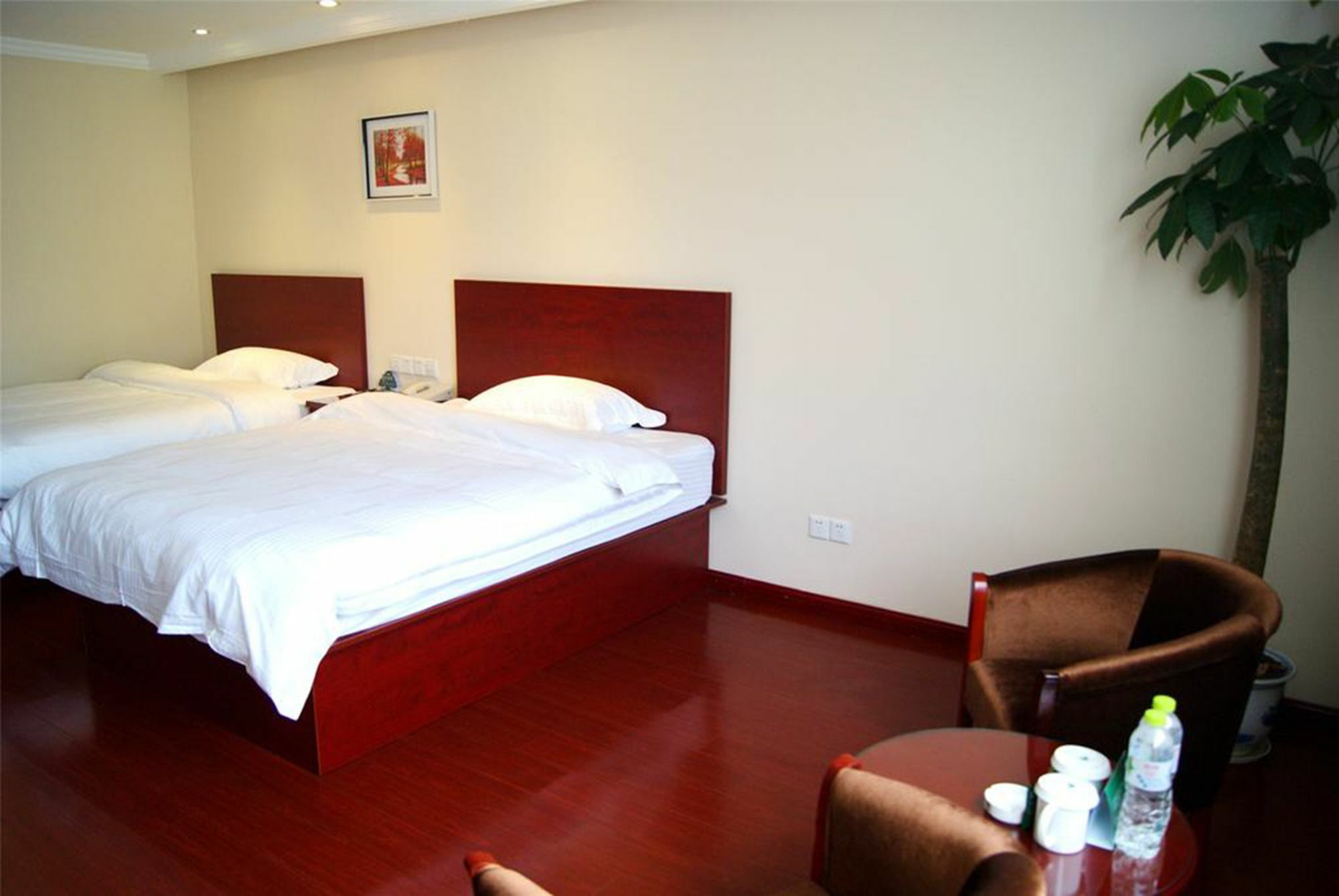 Greentree Alliance Shenzhen Shekou Sea World Hotel Eksteriør bilde